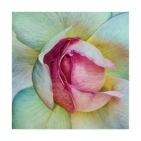 Piet Flour 'La Vie En Rose Pink And Green' Canvas Art,24x24